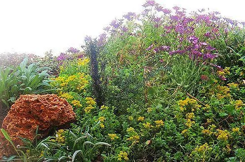 Pithari Agia Triada (Thessaloniki)