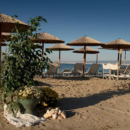 Pithari Agia Triada (Thessaloniki)